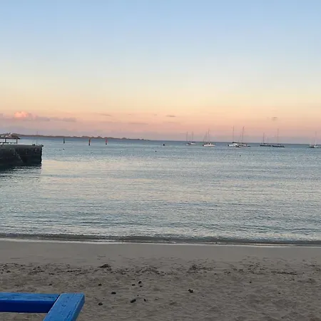 Renthome Dunasol 350