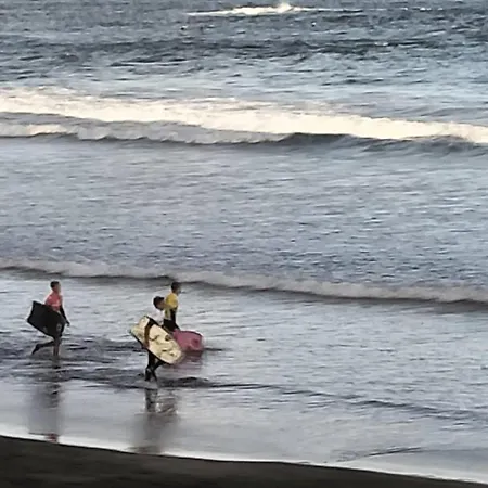 Renthome Dunasol 350 Κοραλέχο